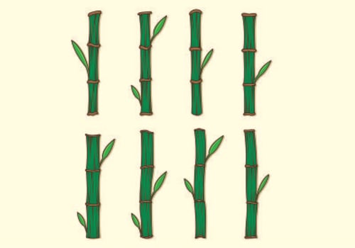 Set Of Bamboo Vectors 