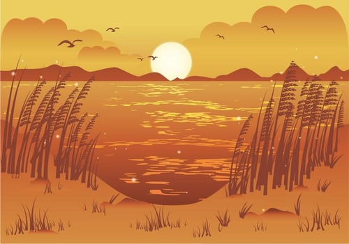 Afternoon beach view sea oats illustration vector