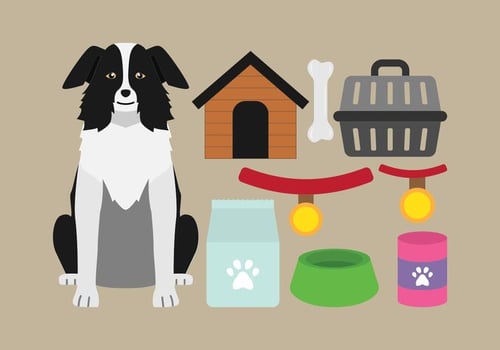 Dog Supplies Icons vector
