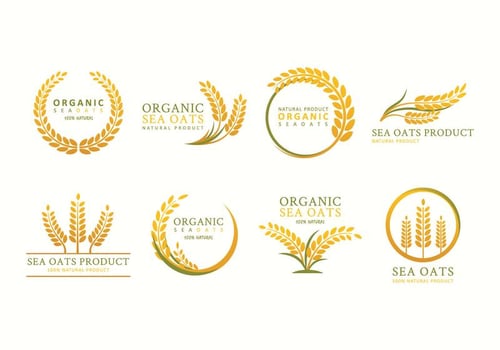 Free Sea Oats Vector