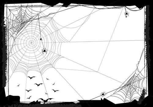 Halloween Seamless Background With Web Spider vector