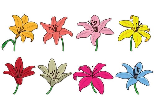 Set Of Easter Lily Vectors