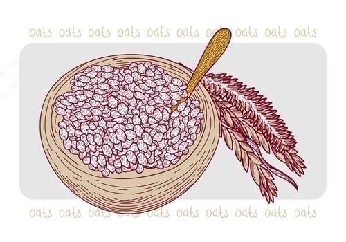 Free Oats Vector Illustration