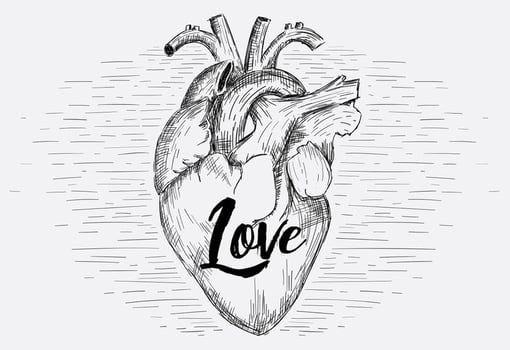 Vector Heart Illustration