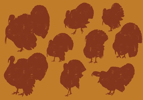 Turkeys Silhouettes vector