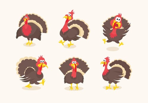 Wild turkey funny cartoon illustration vector