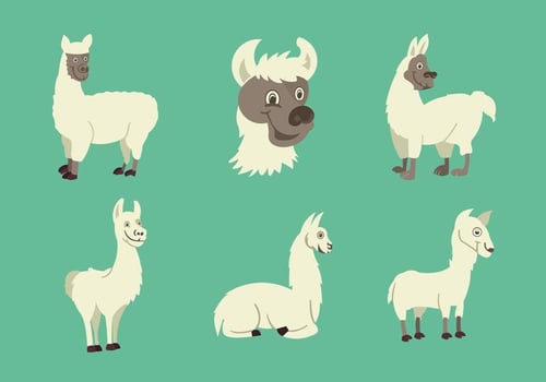 Funny Llama character vector illustration