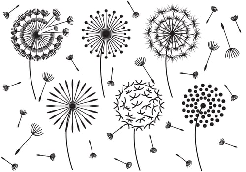 Hand Drawn Blowball Vector