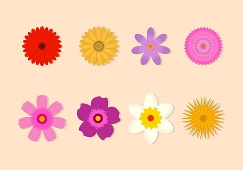 Flower Vector Collection