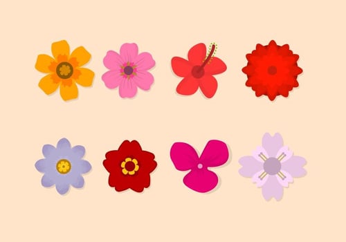 Flower Vector Collection