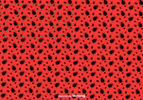 Bugs Vector Pattern