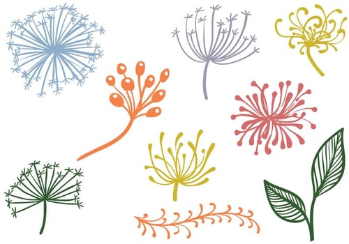 Free Decorative Plants Vectors