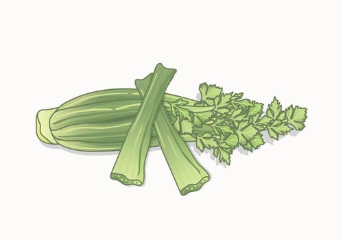 Celery Vector