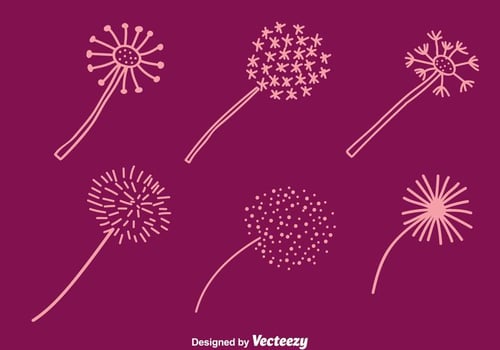 Hand Drawn Dandelions Vectors