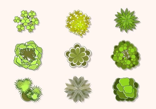 Flat Top View of tree vectors