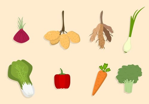 Flat Vegetable Vectors