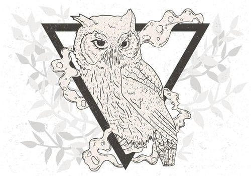 Hand Drawn Of Black And White Owl vector