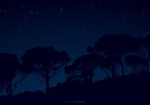 Starry Night Sky Illustration vector
