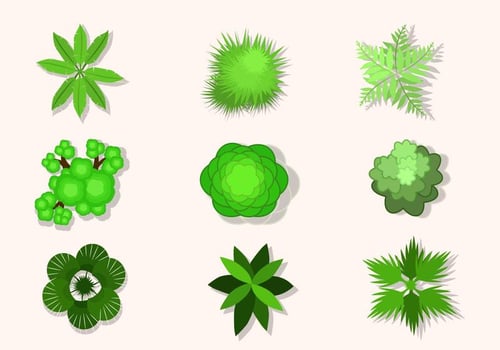 Flat Top View of tree vectors