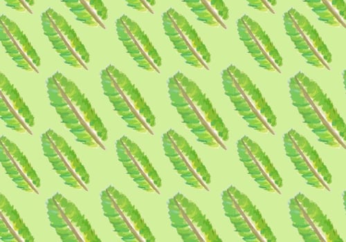 Watercolor Banana Leaf Vectors