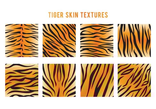 Tiger Stripe Vector
