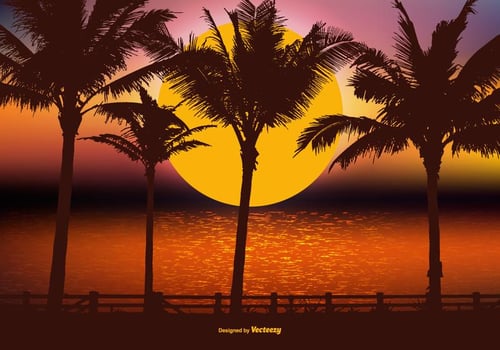 Beautiful Tropical Landscape Scene  vector