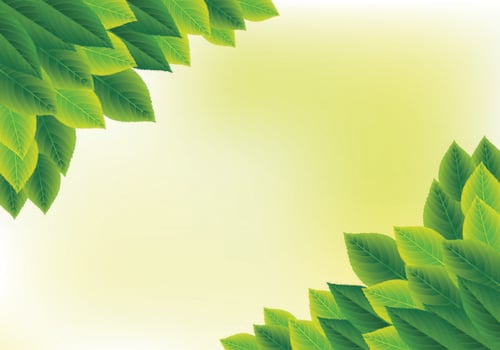 Background Of Natural Green Leaves  vector