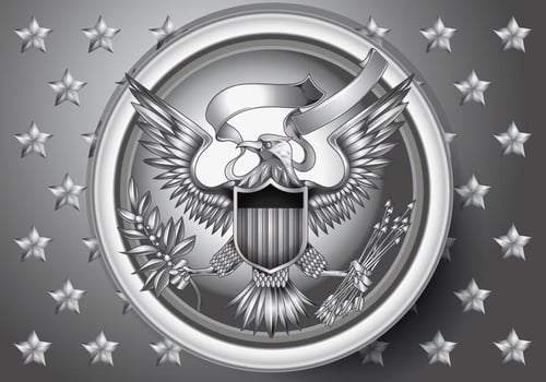 American Eagle Emblem with Silver Effect Vecto r vector