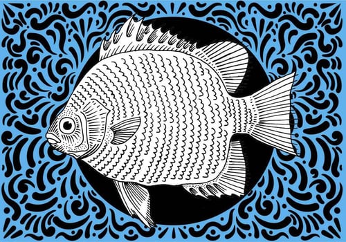 Ornate Fish Design vector