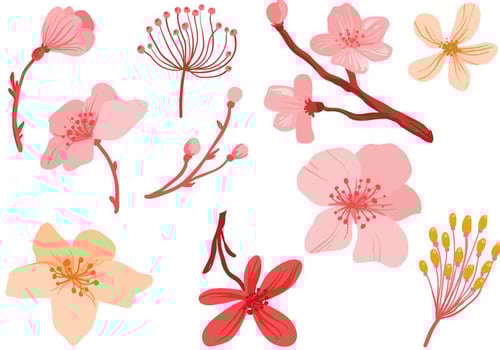 Free Pink Flowers Vectors