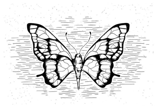 Free Hand Drawn Vector Butterfly
