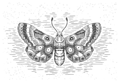 Free Hand Drawn Vector Butterfly