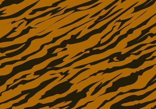 Tiger Stripe Pattern Background vector