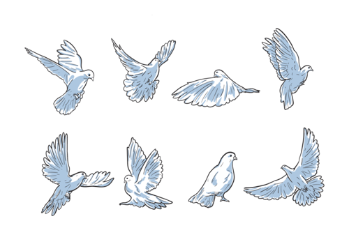 Free Hand Drawn Paloma Vectors