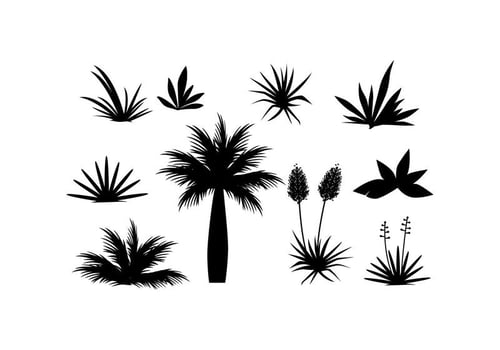 Free Tropical Plant And Grass In Silhouette Vector