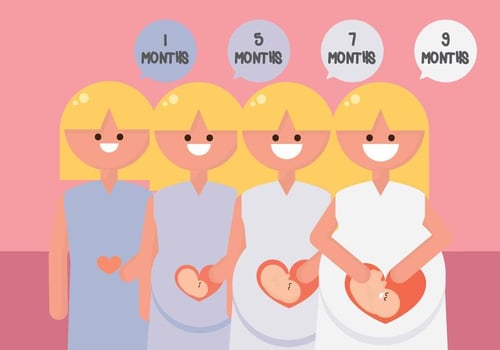 Pregnancy Period vector