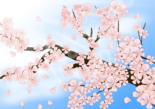 Peach Blossom In Shinny Day vector