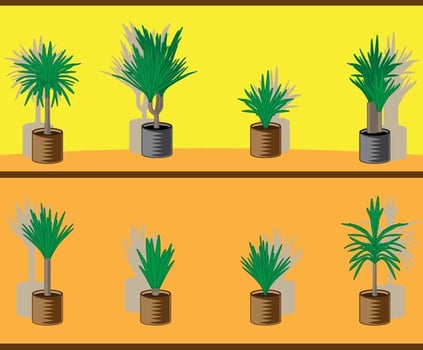 Yucca Tree In Flowerpot vector