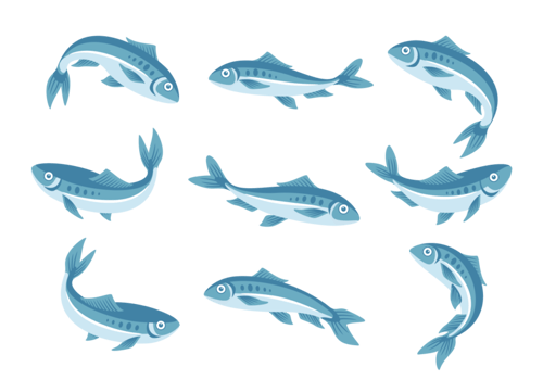 Sardine Icons Vector