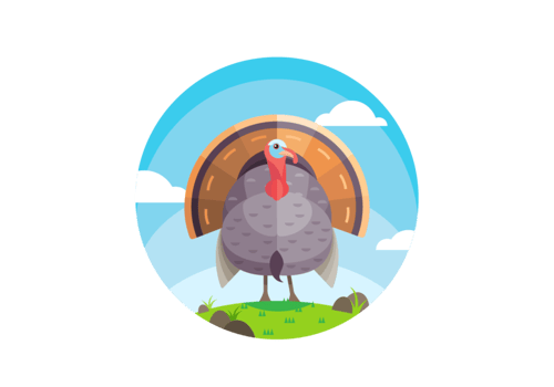 Beautiful Turkey Vector
