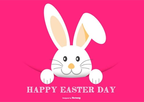 Cute Easter Bunny Illustration vector