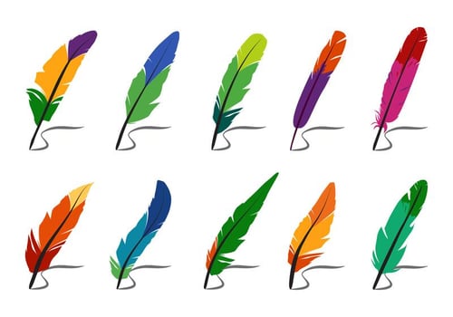 Colorful Feathers and Pluma Vectors