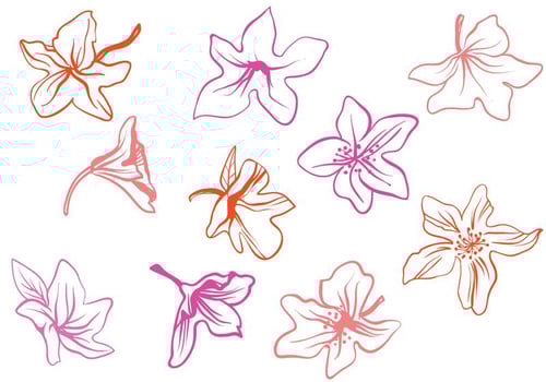 Free Rhododendron Vectors