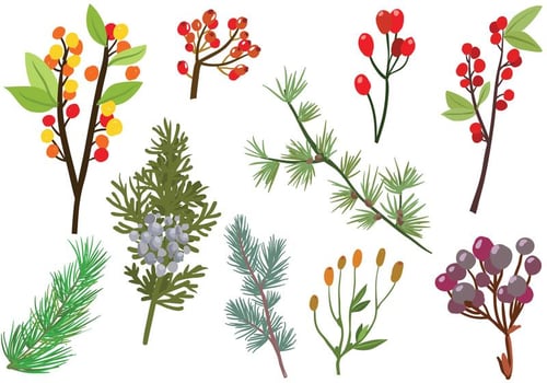 Free Forest Branches Vectors