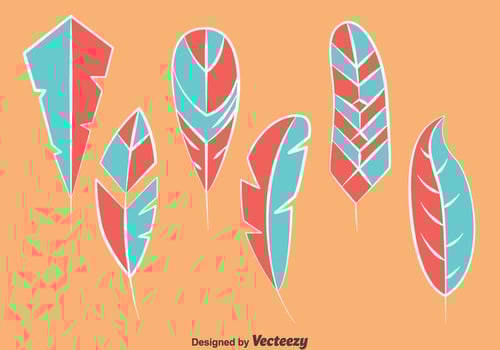 Blue And Pink Bird Feather Vectors