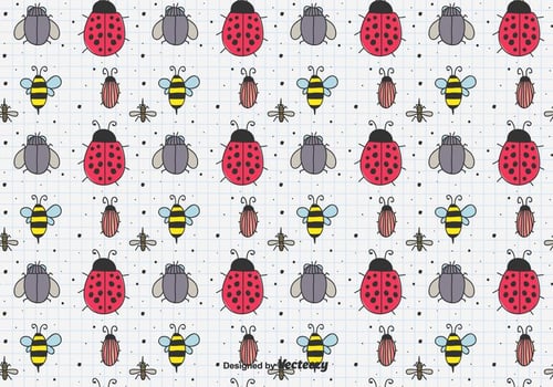 Hand Drawn Insects Pattern vector