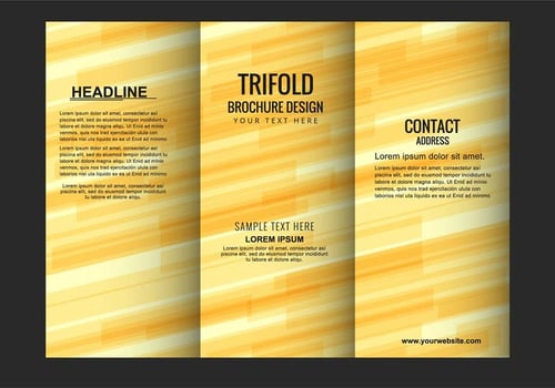 Vector Modern Trifold Brochure Template