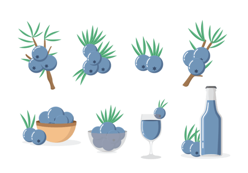 Juniper Icons Vector