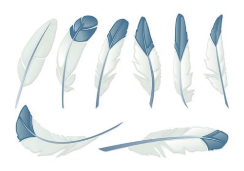 Set Of Pluma Vectors