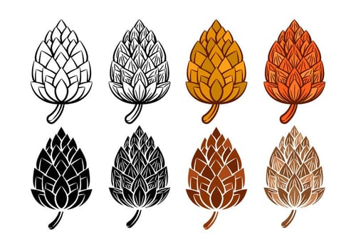 Free Pine Cones Vector
